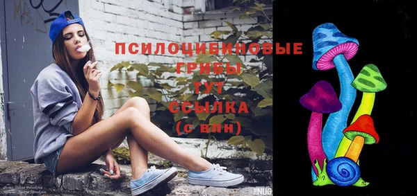 Альфа ПВП Гусиноозёрск