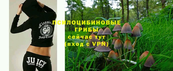 твердый Гусь-Хрустальный