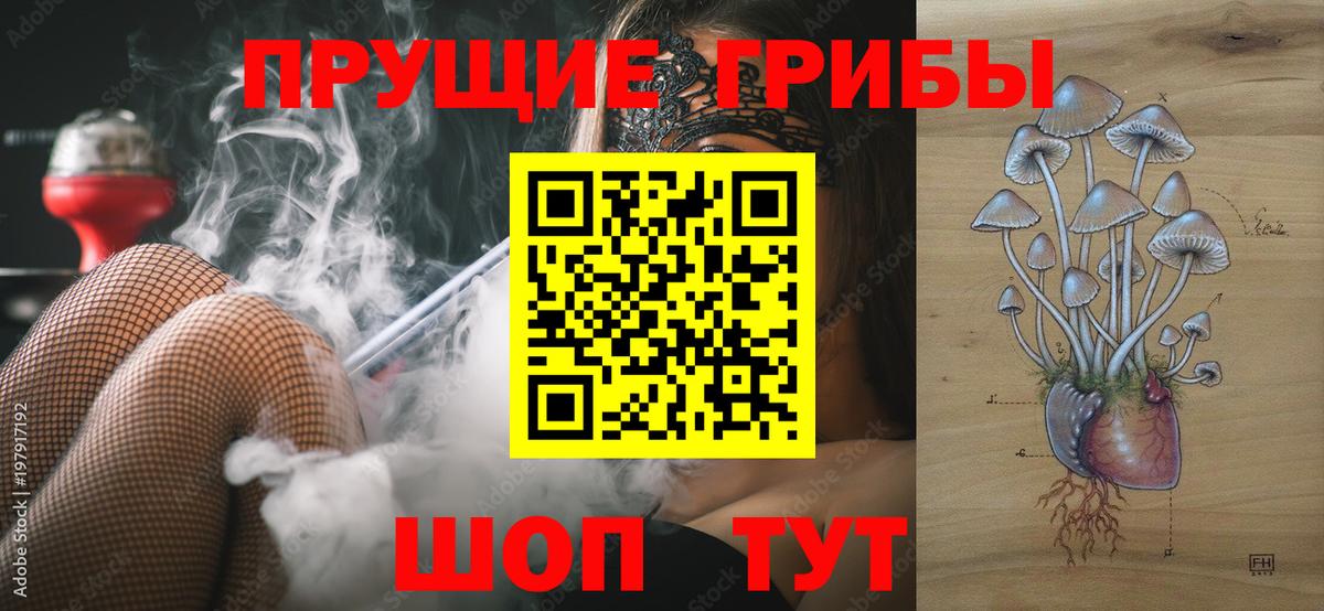 как найти наркотики  Псилоцибиновые грибы Psilocybe  Псилоцибиновые грибы MAGIC MUSHROOMS  Вход с VPN  Железноводск 